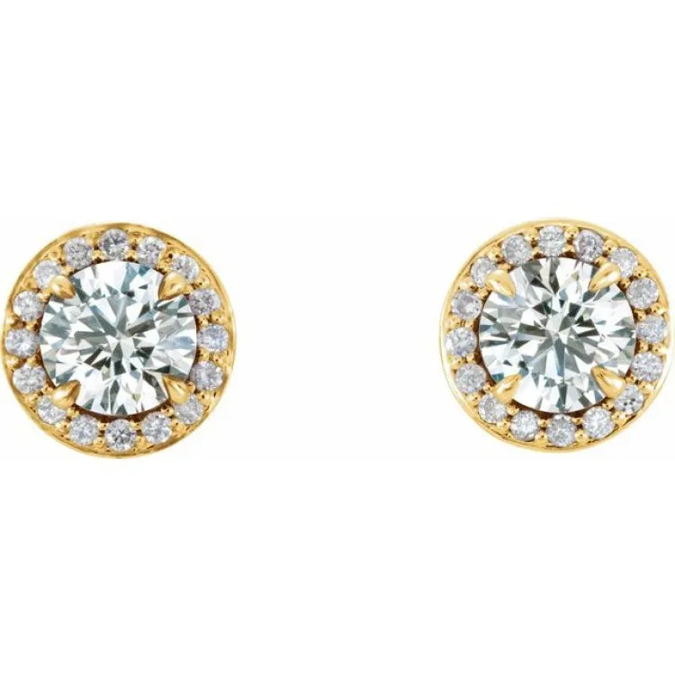 14K Yellow 3/4 CTW Natural Diamond Halo-Style Earrings