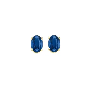 14Kt Yellow Gold & Sapphire 1/2Ctw Earring