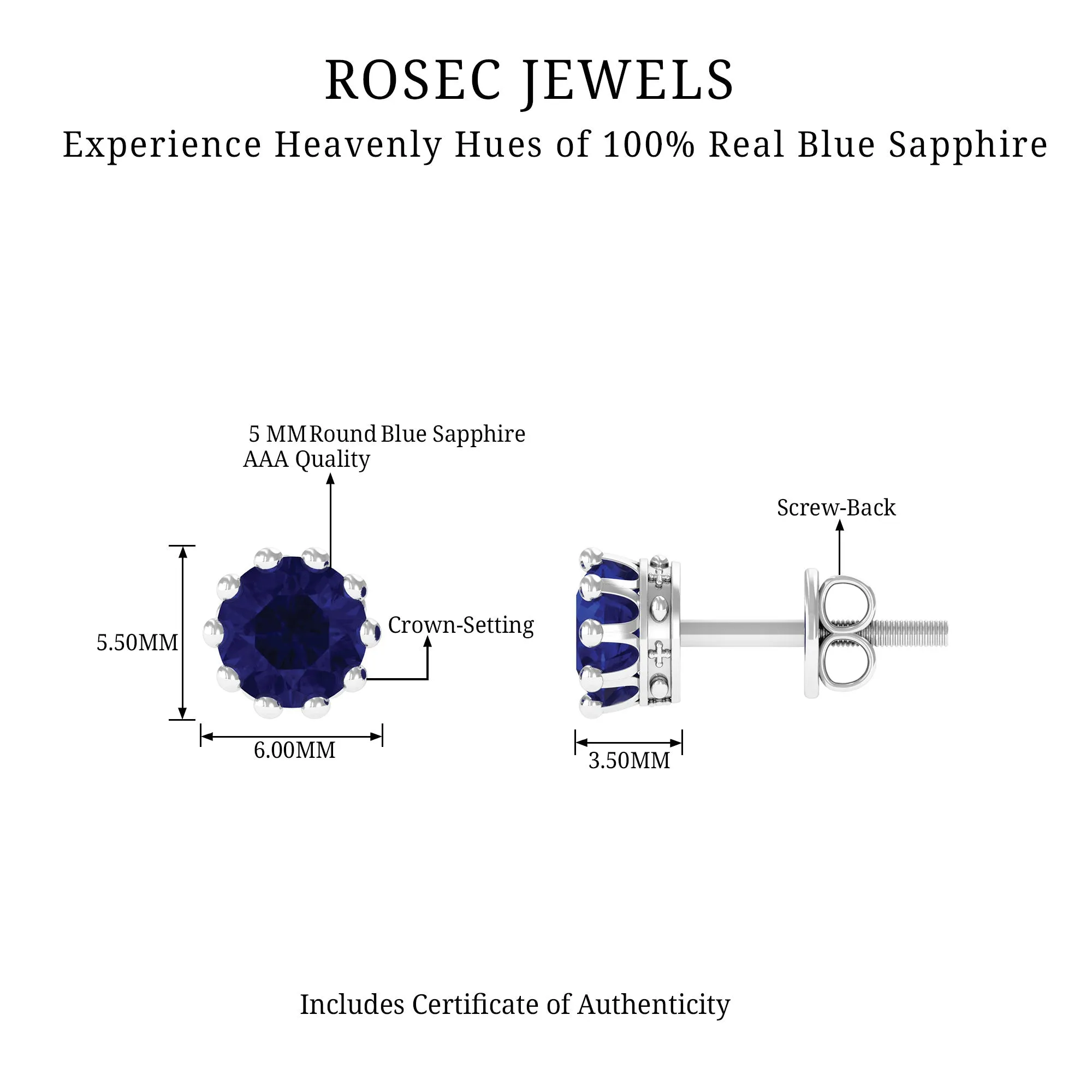 2 CT Blue Sapphire Solitaire Stud Earrings in Crown Setting