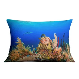 A Reef shark swimming on a tropical coral reef Cushion