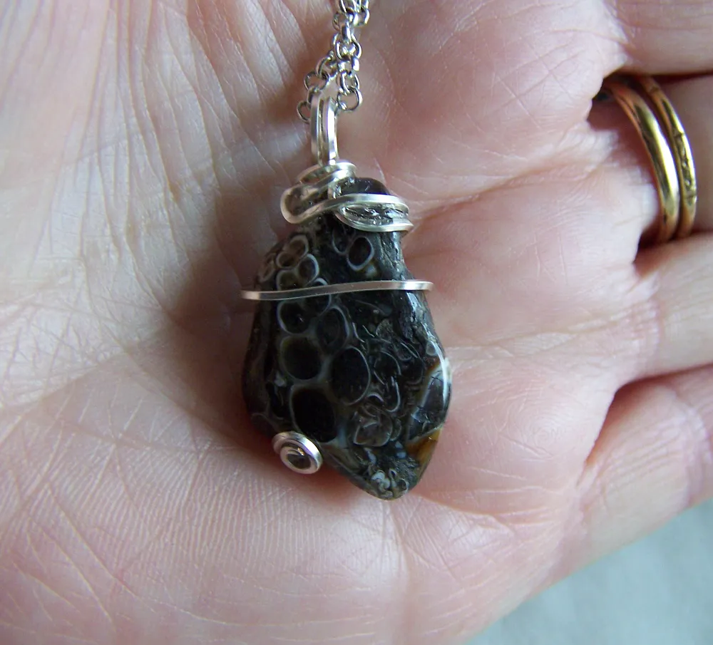 Fossil Shell Natural Agate Wire Wrapped Stone Pendant