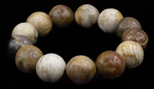 Luxury Petrified Wood Bracelet