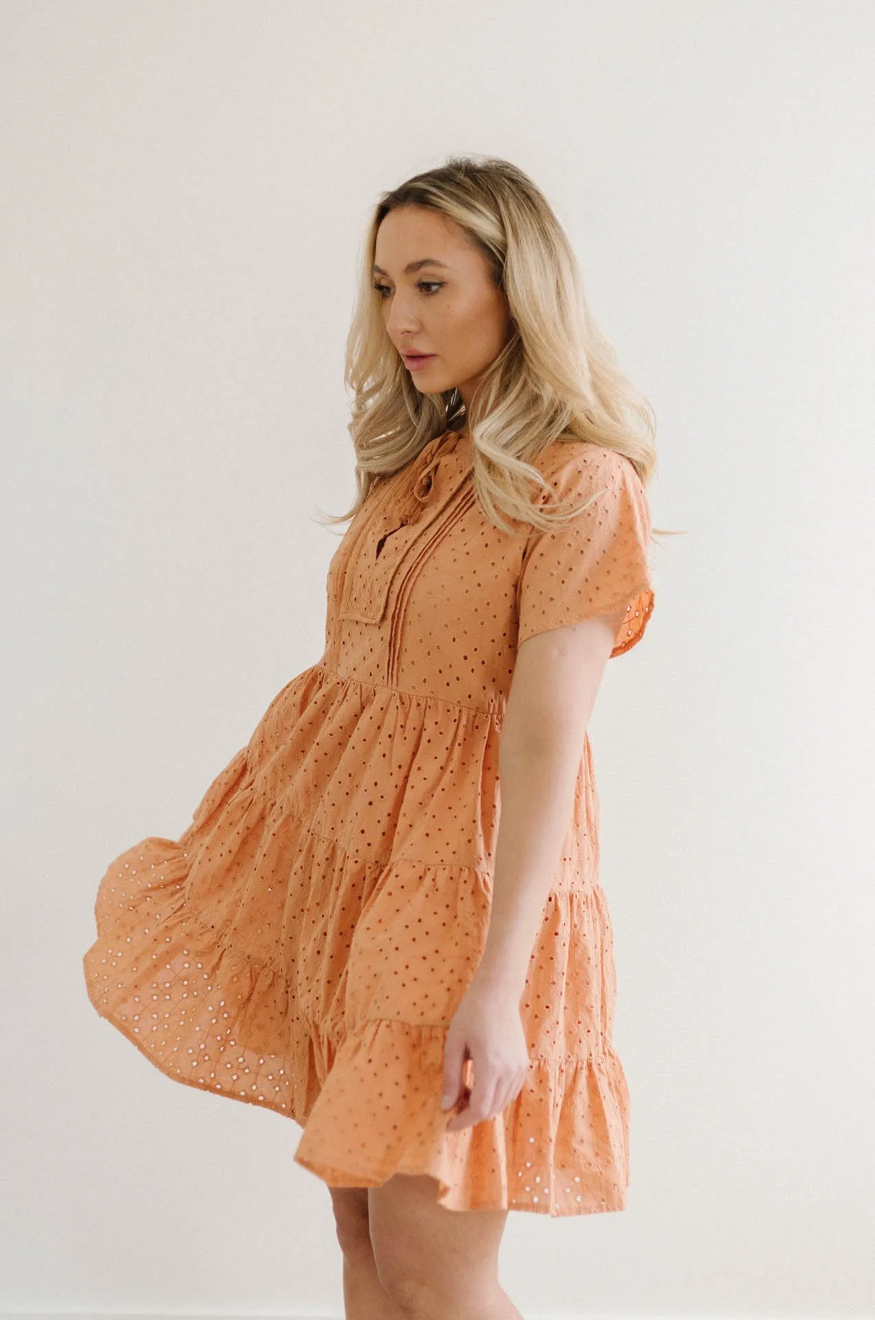 Molly Eyelet Mini Dress