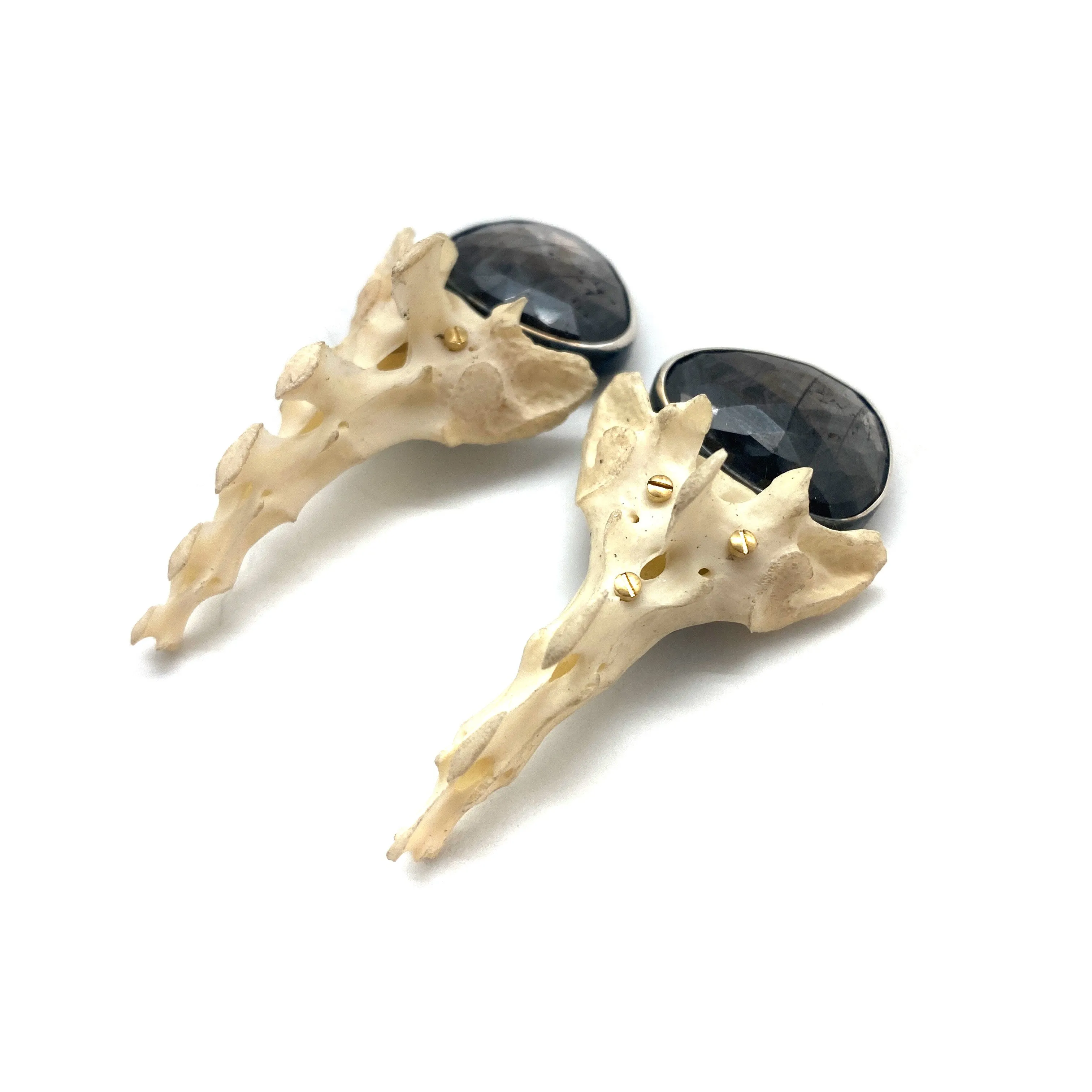 Of Mineral and Marrow Earrings - Rabbit Sacrum and Sapphire